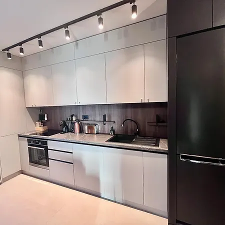 Flh Art Elegance - Large Balcony, Free Parking, Ateneo * Тімішоара