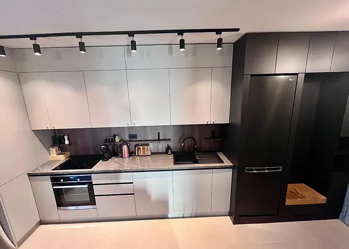 Flh Art Elegance - Large Balcony, Free Parking, Ateneo Timisoara