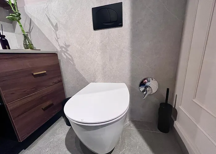 Apartment Flh Art Elegance - Large Balcony, Free Parking, Ateneo Timişoara